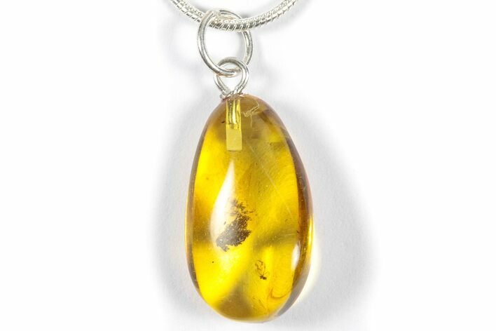 Polished Baltic Amber Pendant (Necklace) - Contains Insect! #357963